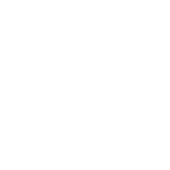 BMW logo