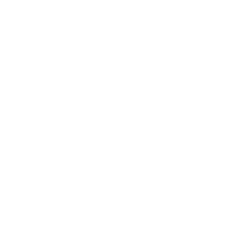 Ford logo