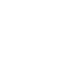 Skoda logo